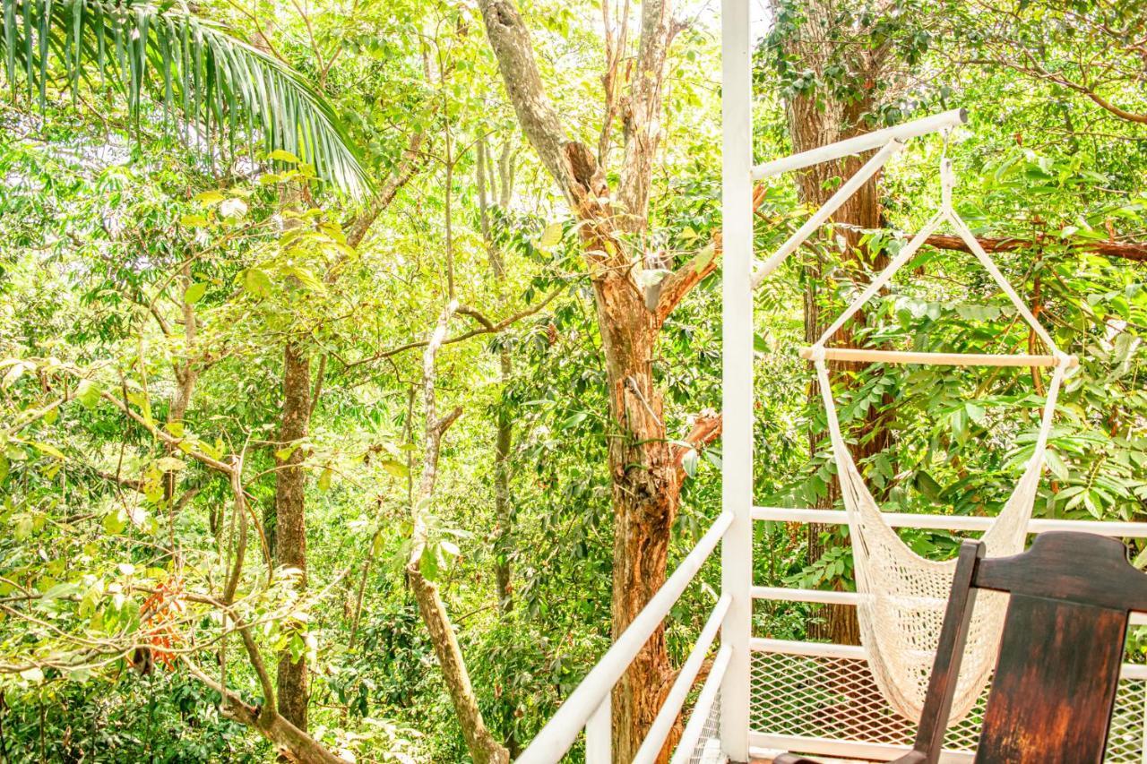Casa Valentina - Ocean, Nature, Relax, Central Quepos Exterior foto